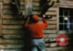 Image of Moose antlers being fastened to a log cabin Alaska USA, 1954, second 42 stock footage video 65675034930