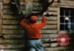 Image of Moose antlers being fastened to a log cabin Alaska USA, 1954, second 43 stock footage video 65675034930
