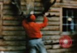 Image of Moose antlers being fastened to a log cabin Alaska USA, 1954, second 44 stock footage video 65675034930