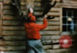 Image of Moose antlers being fastened to a log cabin Alaska USA, 1954, second 45 stock footage video 65675034930