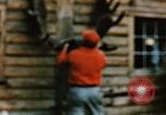 Image of Moose antlers being fastened to a log cabin Alaska USA, 1954, second 47 stock footage video 65675034930
