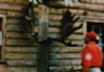 Image of Moose antlers being fastened to a log cabin Alaska USA, 1954, second 50 stock footage video 65675034930