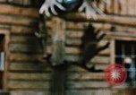 Image of Moose antlers being fastened to a log cabin Alaska USA, 1954, second 51 stock footage video 65675034930