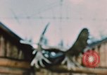 Image of Moose antlers being fastened to a log cabin Alaska USA, 1954, second 59 stock footage video 65675034930