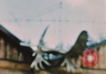 Image of Moose antlers being fastened to a log cabin Alaska USA, 1954, second 60 stock footage video 65675034930