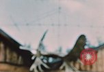 Image of Moose antlers being fastened to a log cabin Alaska USA, 1954, second 61 stock footage video 65675034930