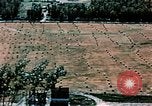 Standbild Feld Palmer Alaska USA, 1954, aus Sekunde 7 historischem Filmmaterial Videoclip 65675034943