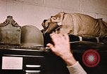 Image homme militaire Fort Richardson Alaska USA, 1954, de la seconde 61 séquences d'archives historiques vidéo 65675034948