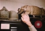 Image homme militaire Fort Richardson Alaska USA, 1954, de la seconde 62 séquences d'archives historiques vidéo 65675034948