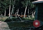 Image Alaskan filles Matanuska Valley Alaska USA, 1954, de la seconde 58 séquences d'archives historiques vidéo 65675034949
