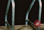 Image of swimmers Fort Richardson Alaska USA, 1954, second 3 stock footage video 65675034959