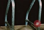 Image of swimmers Fort Richardson Alaska USA, 1954, second 4 stock footage video 65675034959