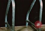 Image of swimmers Fort Richardson Alaska USA, 1954, second 5 stock footage video 65675034959