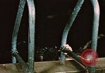 Image of swimmers Fort Richardson Alaska USA, 1954, second 7 stock footage video 65675034959