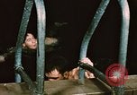 Image of swimmers Fort Richardson Alaska USA, 1954, second 9 stock footage video 65675034959