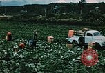 Image chariot Palmer Alaska USA, 1953, de la seconde 9 séquences d'archives historiques vidéo 65675034964