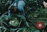 Image of Alaskan man Palmer Alaska USA, 1953, second 35 stock footage video 65675034967