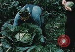 Image of Alaskan man Palmer Alaska USA, 1953, second 36 stock footage video 65675034967