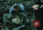 Image of Alaskan man Palmer Alaska USA, 1953, second 37 stock footage video 65675034967
