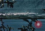 Standbild See Kodiak Naval Station Alaska USA, 1954, aus Sekunde 4 historischem Filmmaterial Videoclip 65675034975