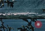 Standbild See Kodiak Naval Station Alaska USA, 1954, aus Sekunde 5 historischem Filmmaterial Videoclip 65675034975