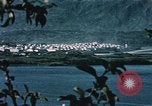 Standbild See Kodiak Naval Station Alaska USA, 1954, aus Sekunde 6 historischem Filmmaterial Videoclip 65675034975