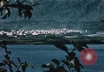 Standbild See Kodiak Naval Station Alaska USA, 1954, aus Sekunde 8 historischem Filmmaterial Videoclip 65675034975