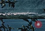 Standbild See Kodiak Naval Station Alaska USA, 1954, aus Sekunde 10 historischem Filmmaterial Videoclip 65675034975