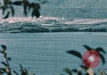 Standbild See Kodiak Naval Station Alaska USA, 1954, aus Sekunde 15 historischem Filmmaterial Videoclip 65675034975
