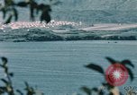 Standbild See Kodiak Naval Station Alaska USA, 1954, aus Sekunde 16 historischem Filmmaterial Videoclip 65675034975