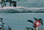 Standbild See Kodiak Naval Station Alaska USA, 1954, aus Sekunde 17 historischem Filmmaterial Videoclip 65675034975