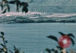 Standbild See Kodiak Naval Station Alaska USA, 1954, aus Sekunde 18 historischem Filmmaterial Videoclip 65675034975