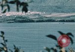 Standbild See Kodiak Naval Station Alaska USA, 1954, aus Sekunde 19 historischem Filmmaterial Videoclip 65675034975