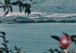 Standbild See Kodiak Naval Station Alaska USA, 1954, aus Sekunde 22 historischem Filmmaterial Videoclip 65675034975