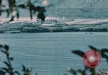 Standbild See Kodiak Naval Station Alaska USA, 1954, aus Sekunde 23 historischem Filmmaterial Videoclip 65675034975