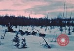 Image of dog sled Alaska USA, 1954, second 3 stock footage video 65675034984