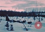 Image of dog sled Alaska USA, 1954, second 4 stock footage video 65675034984