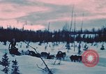 Image of dog sled Alaska USA, 1954, second 5 stock footage video 65675034984