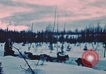 Image of dog sled Alaska USA, 1954, second 6 stock footage video 65675034984
