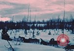 Image of dog sled Alaska USA, 1954, second 7 stock footage video 65675034984