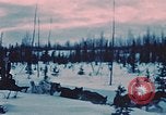 Image of dog sled Alaska USA, 1954, second 8 stock footage video 65675034984