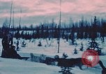 Image of dog sled Alaska USA, 1954, second 9 stock footage video 65675034984
