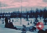 Image of dog sled Alaska USA, 1954, second 10 stock footage video 65675034984