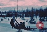 Image of dog sled Alaska USA, 1954, second 11 stock footage video 65675034984