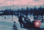 Image of dog sled Alaska USA, 1954, second 12 stock footage video 65675034984