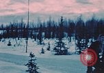 Image of dog sled Alaska USA, 1954, second 13 stock footage video 65675034984