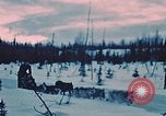 Image of dog sled Alaska USA, 1954, second 16 stock footage video 65675034984