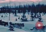 Image of dog sled Alaska USA, 1954, second 18 stock footage video 65675034984