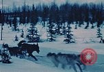 Image of dog sled Alaska USA, 1954, second 19 stock footage video 65675034984