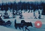 Image of dog sled Alaska USA, 1954, second 20 stock footage video 65675034984